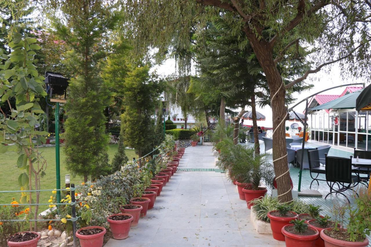 Maple Resort Chail Exterior foto